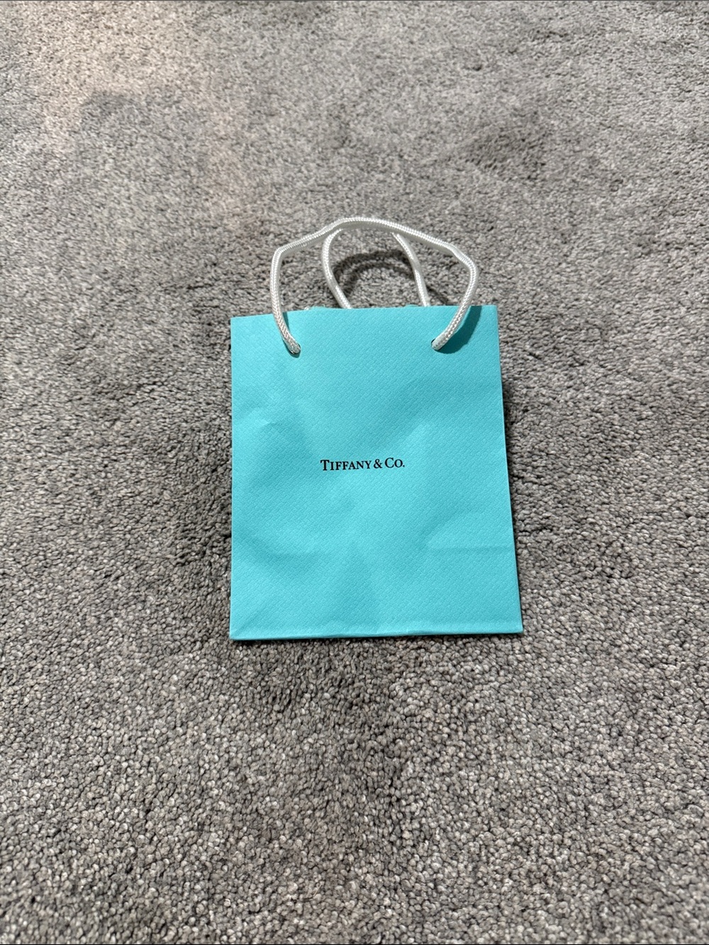 Authentic Tiffany & Co. Blue Mini Gift Bag with White Rope Handles